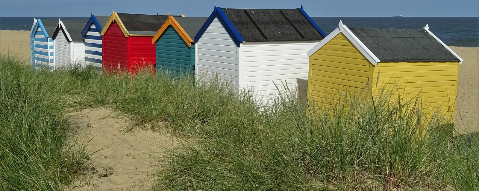 A row of brightly painted beach huts among marram grass, with the sea behind