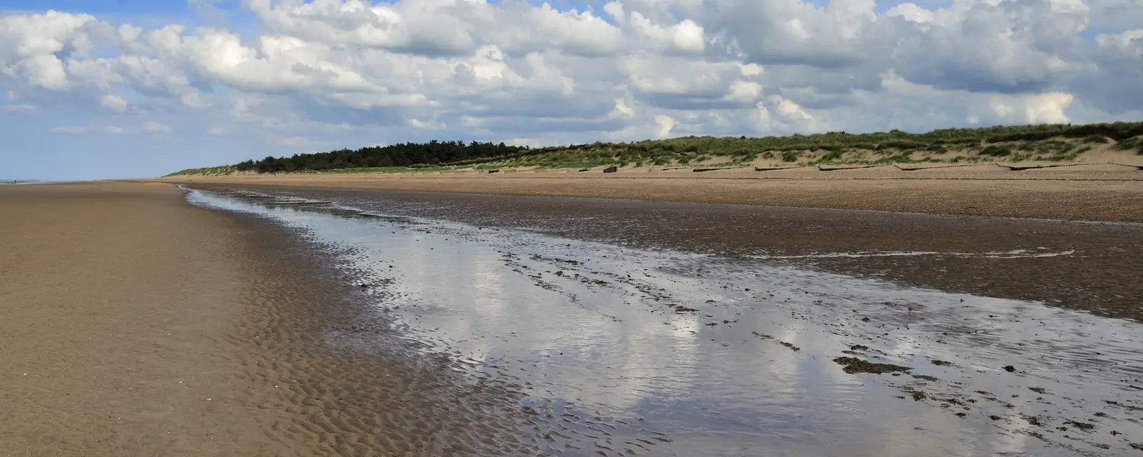Wet sand at low tide reflecting the clouds, with dunes and pines behind